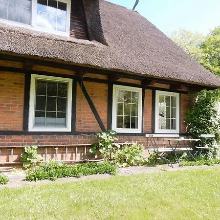 Tatil Evi Thatched Roof 