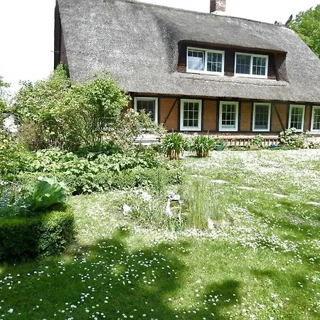 Thatched Roof 